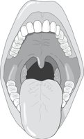 ORALCAV2.CMX