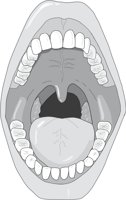 ORALCAV1.CMX
