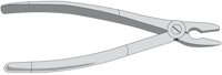 FORCEPS.CMX