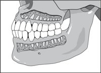 CUTJAWS.CMX