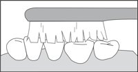 BRSHING4.CMX