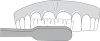 BRSHING3.CMX
