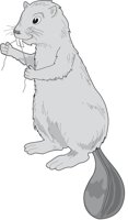 BEAVFLOS.CMX