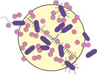 MICROFLD.CMX