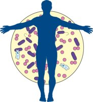 BACTERIA.CMX
