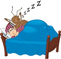 BEDBUG.CMX