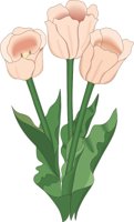 TULIP.CMX