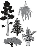 TREEFERN.CMX