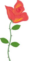 ROSE2.CMX