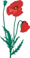 REDPOPPY.CMX