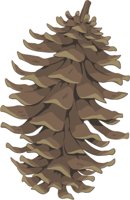 PINECONE.CMX