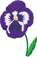 PANSY.CMX