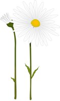 OXEYEDAL.CMX