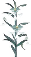 ORCHID3.CMX