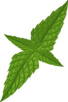 MINT.CMX