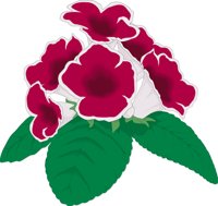 GLOXINIA.CMX