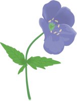 GERANIUM.CMX