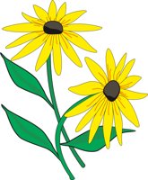 FLWDAISY.CMX