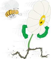 FLOWERC1.CMX