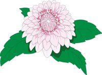 DAHLIA.CMX