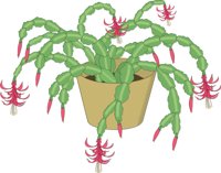 CRCACTUS.CMX