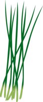 CHIVES.CMX