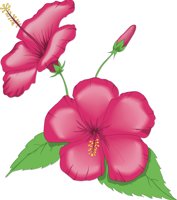 CHINAROS.CMX