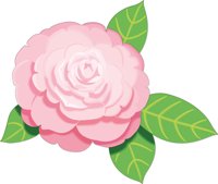 CAMELIA.CMX