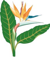 BIRD_OF.CMX