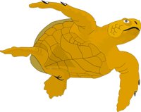 TURTLES.CMX