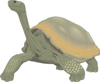 TORTOISE.CMX