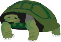 TORTOIS.CMX