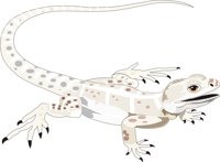 LIZARD3.CMX