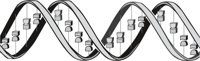 DNA_GENE.CMX