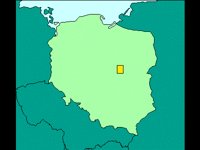 POLEN.BMP