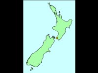 NSEELAND.BMP