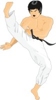 SHAOLIN.CMX