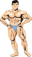 BODYBLD1.CMX