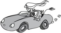 SPORTCAR.CMX