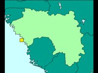 GUINEA.BMP