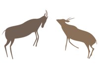 BUCK04.CMX