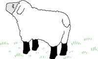 SHEEP004.CMX