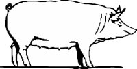 PIG003.CMX