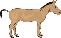 MULE.CMX
