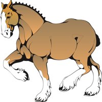 HORSE6.CMX