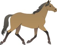 HORSE5.CMX