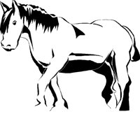 HORSE016.CMX