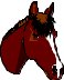 HORSE004.CMX