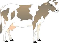 COW4.CMX