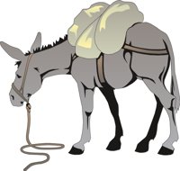 BURRO.CMX